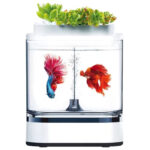 Акваферма Xiaomi Geometry Mini Lazy Fish Tank Pro C300